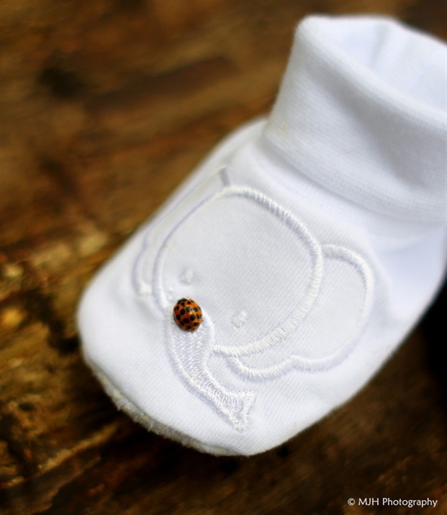 Baby bootie lady-bug